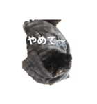天ちゃんby HARUTAN（個別スタンプ：18）