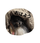 天ちゃんby HARUTAN（個別スタンプ：34）