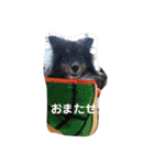 天ちゃんby HARUTAN（個別スタンプ：40）