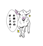 やぎスタイル.1（個別スタンプ：5）