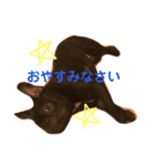まる❤︎ろむ（個別スタンプ：2）