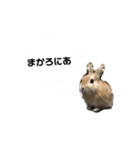 まかろにあスタンプ（個別スタンプ：2）