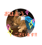 ひまちゃんねねちゃん（個別スタンプ：2）