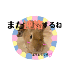 ひまちゃんねねちゃん（個別スタンプ：6）