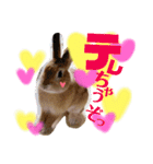 ひまちゃんねねちゃん（個別スタンプ：8）