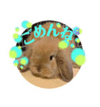 ひまちゃんねねちゃん（個別スタンプ：10）