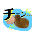 ひまちゃんねねちゃん（個別スタンプ：13）