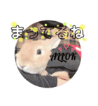ひまちゃんねねちゃん（個別スタンプ：14）