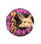 ひまちゃんねねちゃん（個別スタンプ：15）