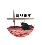 ジャッキーとチッチ2（個別スタンプ：18）