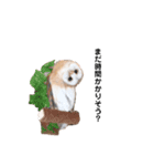 メンフクロウ☆ミコトさんSTAMPパート①（個別スタンプ：8）