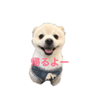 ランジュくんとルイちゃん（個別スタンプ：1）
