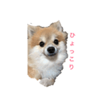 ランジュくんとルイちゃん（個別スタンプ：2）