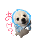 ランジュくんとルイちゃん（個別スタンプ：6）