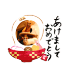 ちゃたまめの日常（個別スタンプ：10）