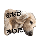 ミルクちゃんのひとりごと（個別スタンプ：3）