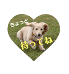 ミルクちゃんのひとりごと（個別スタンプ：7）