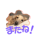 ミルクちゃんのひとりごと（個別スタンプ：8）