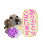 ミルクちゃんのひとりごと（個別スタンプ：15）