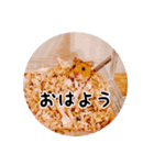 ハムスターのいる生活。日常スタンプ（個別スタンプ：5）