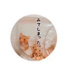ハムスターのいる生活。日常スタンプ（個別スタンプ：18）