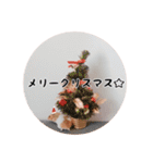 ハムスターのいる生活。日常スタンプ（個別スタンプ：24）