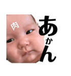 遊心＆新生＆羽新（個別スタンプ：5）