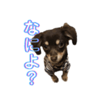 アルバすたんぷ（個別スタンプ：6）