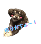 アルバすたんぷ（個別スタンプ：7）
