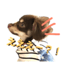 アルバすたんぷ（個別スタンプ：8）