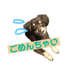 アルバすたんぷ（個別スタンプ：9）