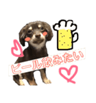 アルバすたんぷ（個別スタンプ：14）