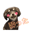 アルバすたんぷ（個別スタンプ：21）