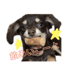 アルバすたんぷ（個別スタンプ：23）