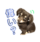 アルバすたんぷ（個別スタンプ：28）