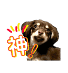 アルバすたんぷ（個別スタンプ：30）