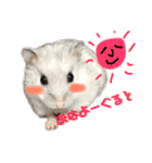 アルバすたんぷ（個別スタンプ：31）