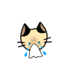 シャム猫ちゃん（個別スタンプ：11）