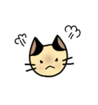 シャム猫ちゃん（個別スタンプ：13）