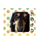 マロンLOVE（個別スタンプ：8）