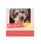 ぼく、チョコですよろしくお願いします（個別スタンプ：3）