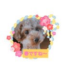 ぼく、チョコですよろしくお願いします（個別スタンプ：8）