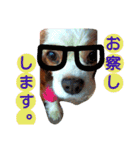 くるみの日常(キャバリア)（個別スタンプ：19）