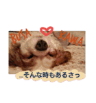 くるみの日常(キャバリア)（個別スタンプ：22）