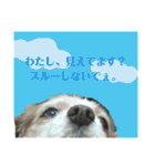 くるみの日常(キャバリア)（個別スタンプ：38）