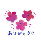 Bonita-chuchuraの宮古島ハイビスカス便り（個別スタンプ：4）