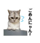 可愛い華ちゃんスタンプ（個別スタンプ：6）