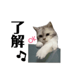 可愛い華ちゃんスタンプ（個別スタンプ：9）