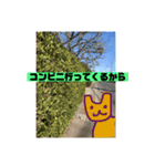 マイルドな人生5（個別スタンプ：12）