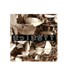 マイルドな人生5（個別スタンプ：13）